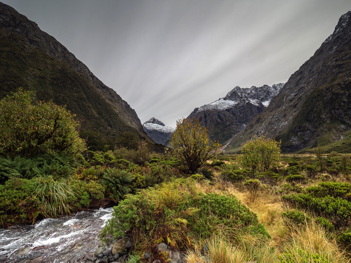 Stacks Image 182